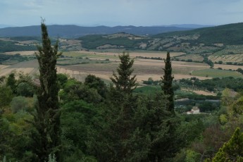 Massa Marittima (Toscana IT)