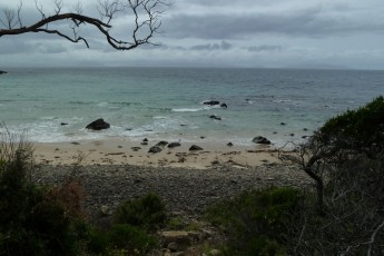 Strada Hobart-Freycinet Peninsula (Tasmania AU)