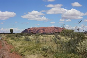 Strada Kings Canyon-Uluṟu (AU)