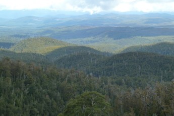 Hartz Mountains National Park (Tasmania AU)