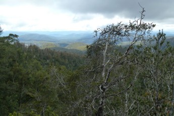 Hartz Mountains National Park (Tasmania AU)