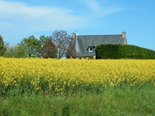 Strada Binic-Saint Brieuc (FR)