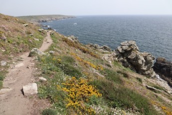 Pointe du Raz (FR)