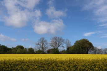 Strada Pleyben-Guimiliau (FR)
