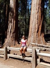 Sequoia National Park (California US)