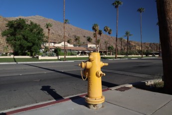 Palm Springs (California US)