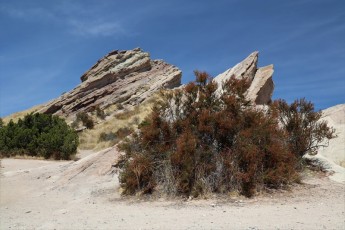 Vasquez Rocks Natural Area Park (California US)
