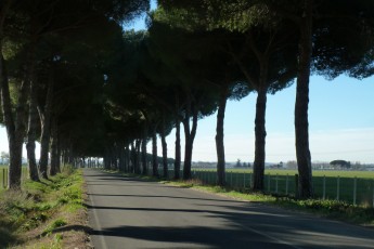 Strada per Velletri (Lazio IT)