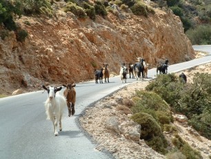 Strada per Prodromi (Creta GR)