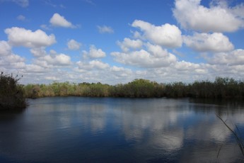 Everglades National Park (Florida US)