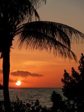 Florida Keys - Layton (Florida US)