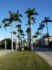 Palm Beach (Florida US)
