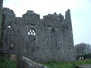Askeaton Abbey (IE)
