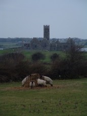 Ross Errilly Friary (IE)