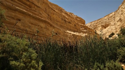 Negev Desert (IL)