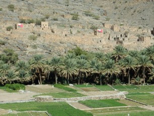 Valley Necrosis (OM)
