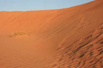 Sharqiya Sands (OM)