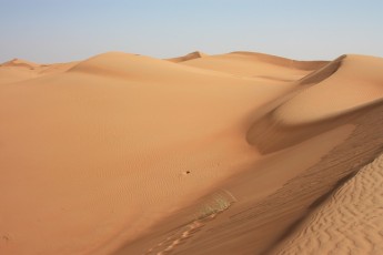 Sharqiya Sands (OM)