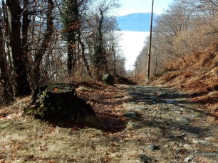 Sentiero Monteggia- Poggio Sant'Elsa (Lombardia IT)