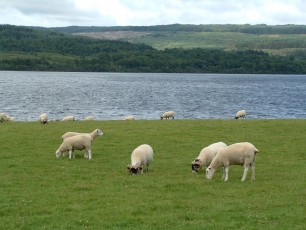Loch Awe (Scozia GB)