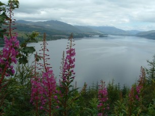 Loch Carron (Scozia GB)