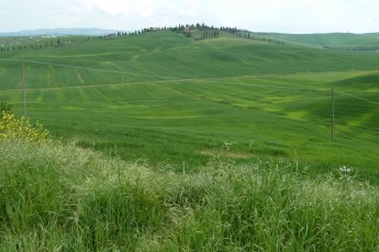 Strada Valiano-Siena (Toscana IT)