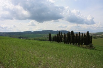 Strada Pienza-San Quirico (Toscana IT)