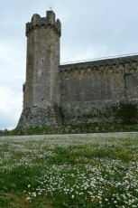 Montalcino (Toscana IT)