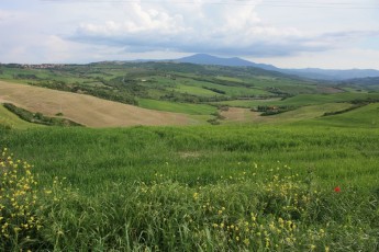 Strada Provinciale 71 (Toscana IT)