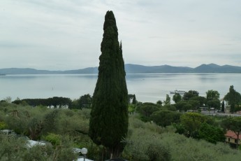 Castiglione del Lago (Umbria IT)