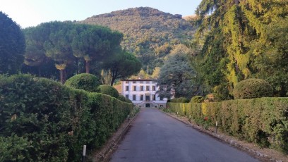 Camaiore (Toscana IT)
