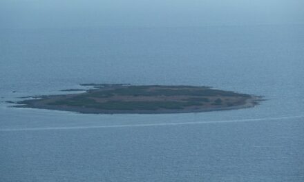 Isola di Dugi Otok