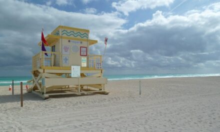 Miami: spiagge e shopping
