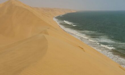 Le dune di Sandwich Harbour