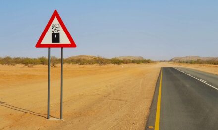 Verso l’Etosha National Park